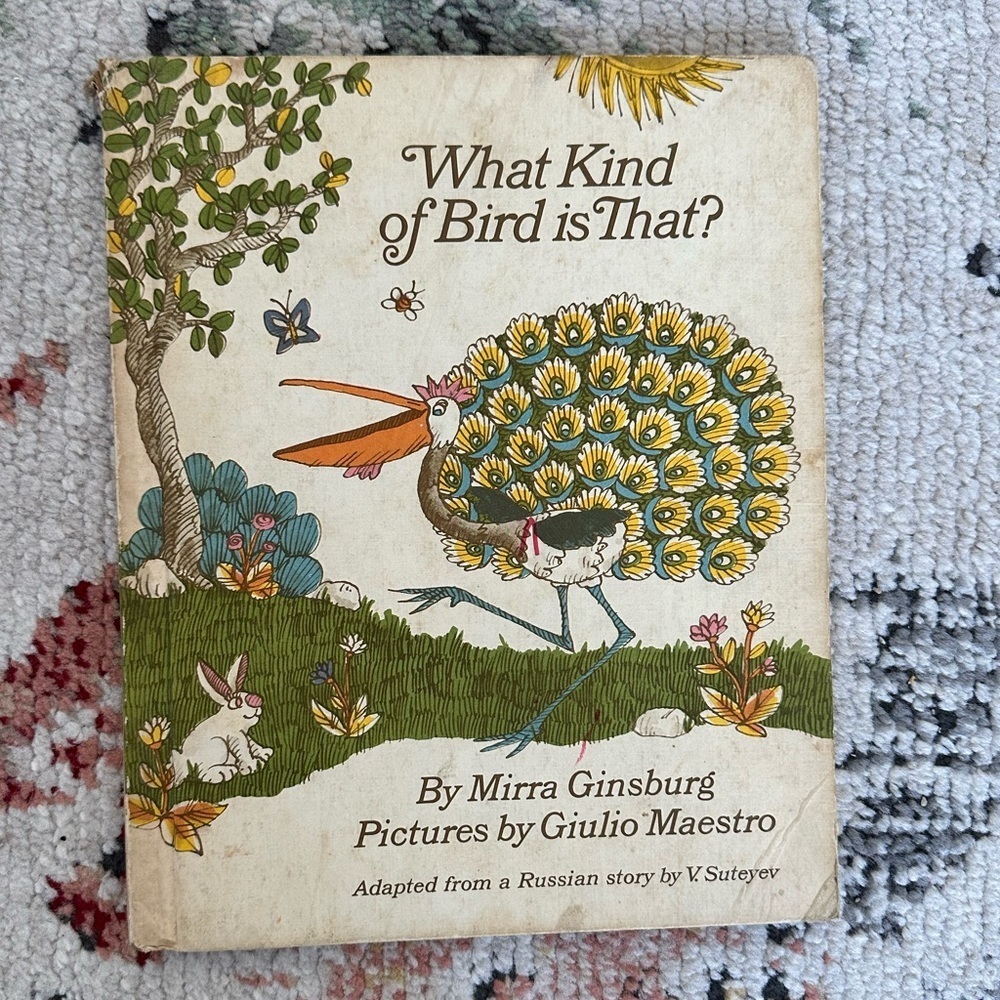 Vintage 1973 What Kind of Bird is That? Book 
Vintage Children’s book